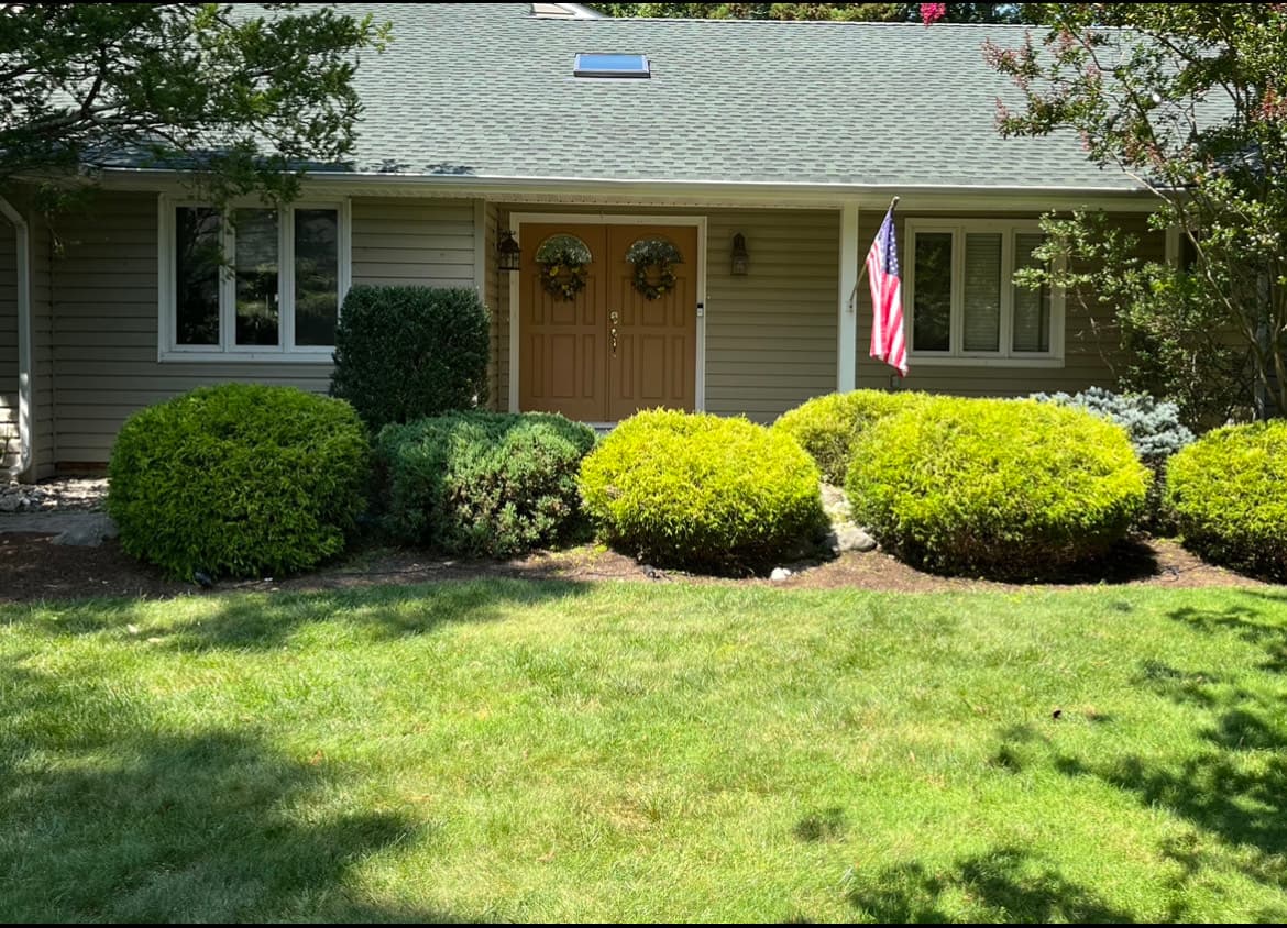 Hedge Trimming