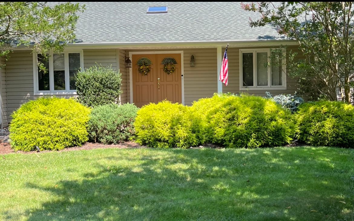 Hedge Trimming